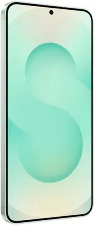 Samsung Galaxy S25 12+ 512Gb Mint (Snapdragon,2 nano-SIM/eSIM)