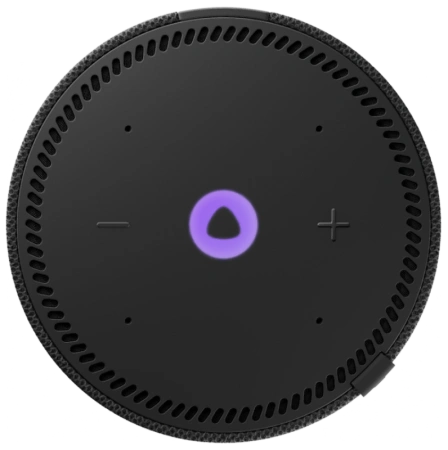 Акустическая система Яндекс.Станция Мини 2 с Алисой (Черный, с часами)