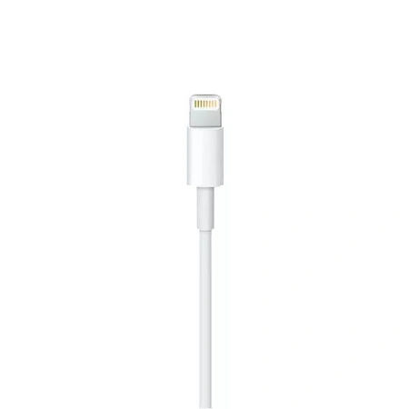 Кабель Apple USB Type-C - Lightning (CH-MX0K2ZM/A) 1 м